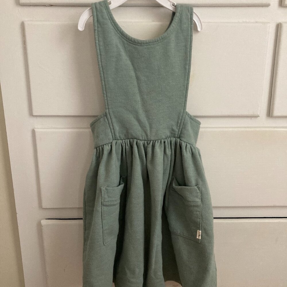 Peter Rabbit 5T Jumper Dress Sage Green Easter